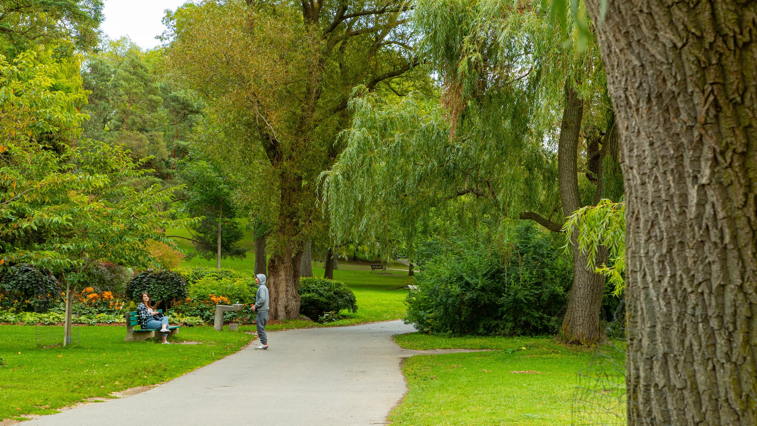 Hiking at High Park